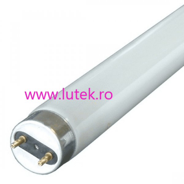 Tub fluorescent neon 36w alb rece 6400K, (TN-T8-36WARM) www.lutek.ro